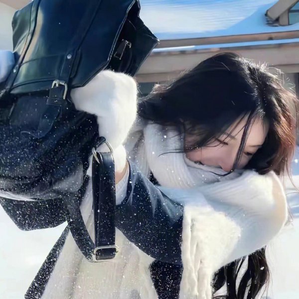 江户盗贼团五叶